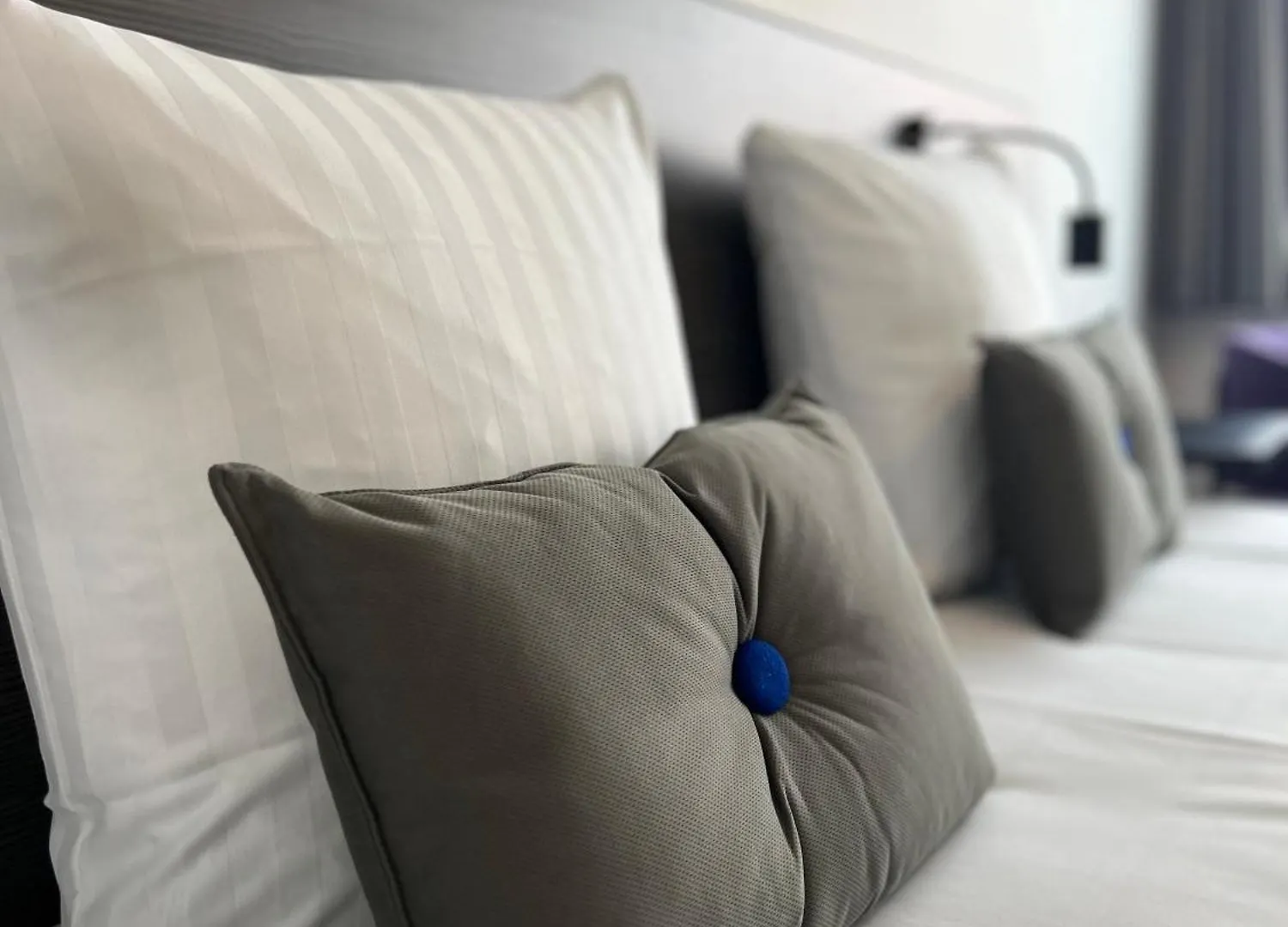 Cabinn Plus Έσμπιεργκ